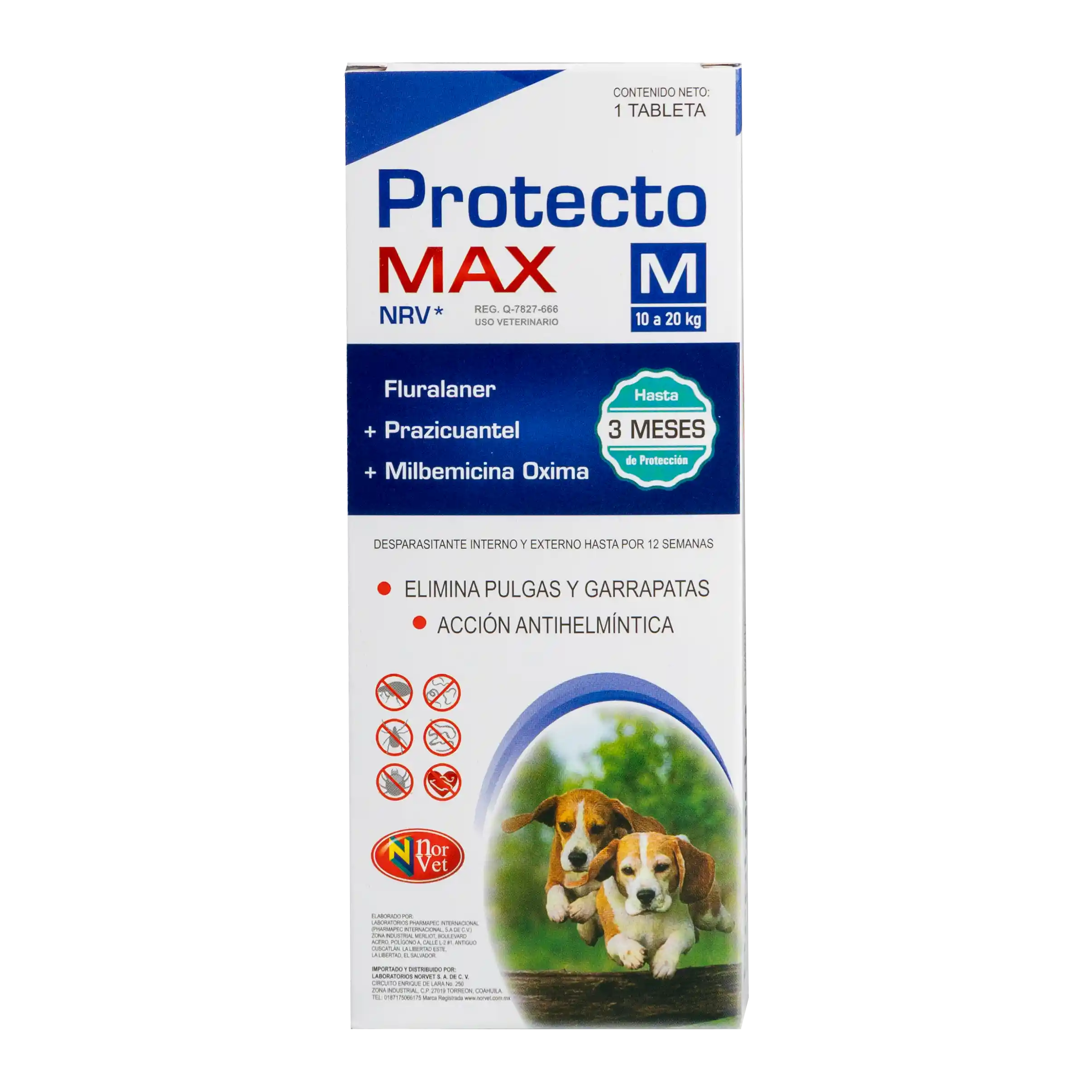 protecto-max